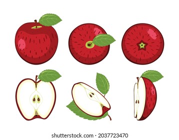 Set of apples isolated on white background.