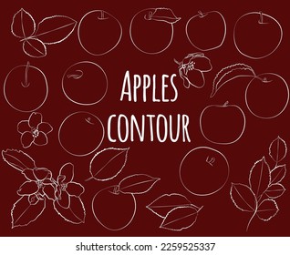 Set of apples with leaves and flowers, linear, outline only, no fill. Vector graphics