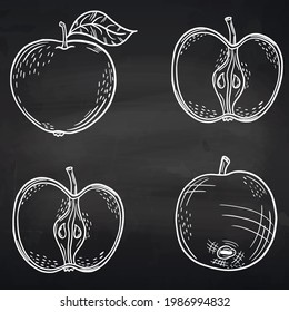 Set of apples on a chalk board. Chalk drawing of fruit. Sketch apples. Hand drawing. Icon. For your design.