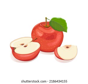 A set of apples. One red apple with a leaf, half an apple and an apple slice on a white isolated background. Fruits, vitamins, iron. Label and packaging. Printing on dishes. Vector illustration.
