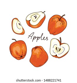 Set of apples. Slices and while fruits. Vector illustration. Set of objects with lettering - Apples.