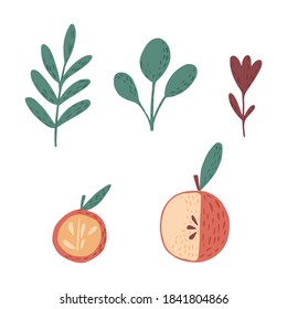 Set from apples, twigs and flower on white background. Scandinavian botanical sketch hand drawn in style doodle vector illustration.