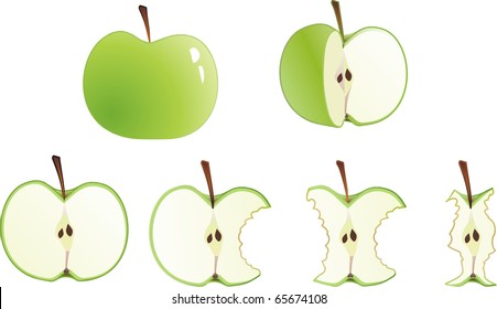  set of apples from whole to stub