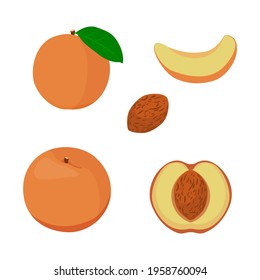 Set of apricot with half isolated on white background with clipping path full depth of field and leaf.