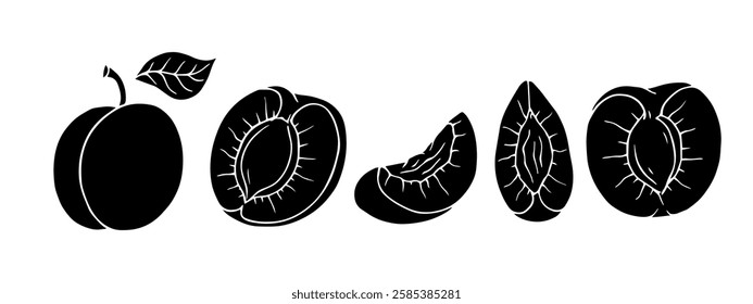 Set of apricot silhouettes and seasonal fruit slices. Vector graphics.