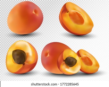 Set of apricot are whole and cut in half. Fresh fruit apricot on transparent background. 3d realistic apricot from different angles. Nature product. Vector illustration