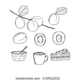 Set of apricots and food from them, vector illustration, a branch with apricots, whole fruit and halves, jam, tea and a piece of cake, hand drawing