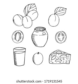 Set of apricots, vector illustration, leaves, halves, bones, jar of jam, glass of juice, piece of apricot pie, hand drawing