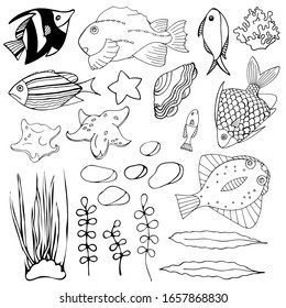 Set of aquarium cartoon fish, seaweed, seashell and stones. Isolated objects on white background. Inhabitants of the underwater world for game, app, banner, swimming pool, print, kids and stickers.