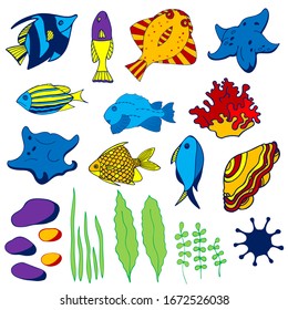 Set of aquarium cartoon fish, seaweed, seashell and stones. Isolated objects on white background. Inhabitants of the underwater world for game, app, banner, swimming pool, print, kids and stickers.