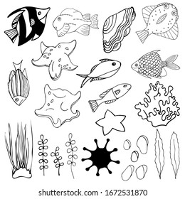 Set of aquarium cartoon fish, seaweed, seashell and stones. Isolated objects on white background. Inhabitants of the underwater world for game, app, banner, swimming pool, print, kids and stickers.