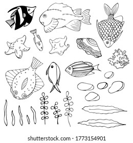 Set of aquarium cartoon fish, seaweed, seashell and stones. Isolated objects on white background. Inhabitants of the underwater world for game, app, banner, swimming pool, print, kids and stickers.