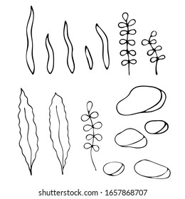 Set of aquarium cartoon seaweed and stones. Isolated objects on white background for game, app, banner, swimming pool, print, kids and stickers.