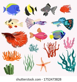 Set of aquarium fish and algae with corals on a white background
