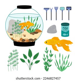 Set von einem Aquarienfisch, Goldfisch, Algen, Trockenfutter, Reinigungsmittel. Flat, Cartoon. Einzige Vektorgrafik eps10