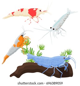 Set of aquarium fish, seaweed underwater composition vector illustration