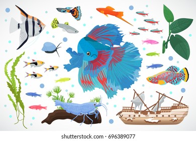 Set of aquarium fish, seaweed underwater composition vector illustration