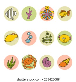 Set of aquarium icons - fish types, aquarium plants and decor. Pet shop set.