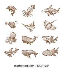 Set of aquatic Animals, Hand drawing vector illustration.
