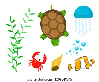 Set aquatic funny sea animals underwater creatures cartoon characters shell aquarium sealife vector illustration.