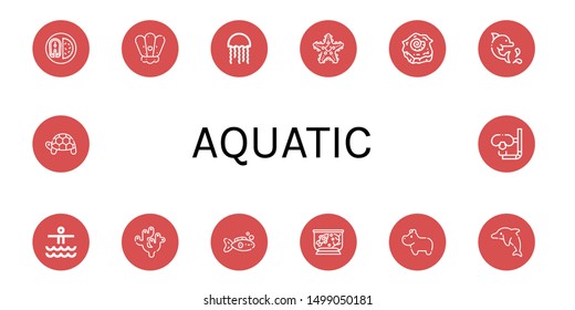 Set of aquatic icons such as Fish, Shell, Jellyfish, Starfish, Dolphin, Waterpark, Coral, Fish tank, Hippopotamus, Turtle, Dive , aquatic