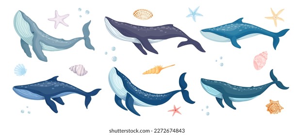 Conjunto de mamíferos acuáticos, ballenas azules, conchas marinas, estrellas, gráficos de vectores de dibujos animados.