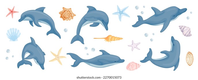 Set of aquatic mammals dolphins with starfish and various shells.Cartoon vector graphics.