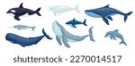 Set of aquatic mammals, predatory fish.Cartoon vector graphics.