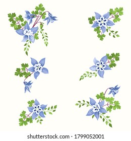 Set with aquilegia bouquets. Floral arrangements in small garden flowers of columbine. Use for textile design, wallpaper, covers, surface, print, gift wrap, scrapbooking, decoupage.