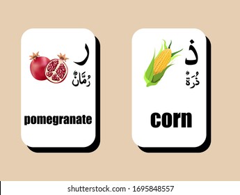 set of Arabic alphabet with image pomegranate , corn vector In the picture, there are Arabic letters and pictures, suitable for learning the language for children.