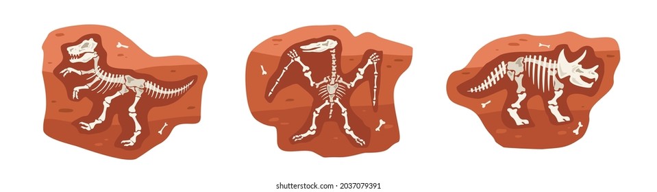 Set of archaeological finds with dinosaurs skeletons in stone, flat vector illustration isolated on white background. Paleontological and archaeological artifacts.