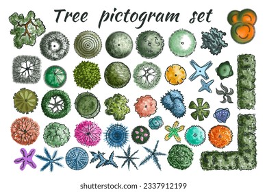 Set of architectural trees top view in color. Pictograms for general plans and dendroplans in landscape design in sketch style. Isolated on white background. Vector.