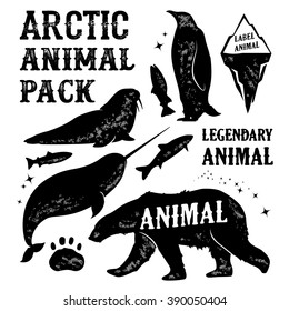 Set arctic animal silhouettes labels, badges. Retro vector design graphic element, walrus emblem, narwhal logo, penguin insignia, fish sign, arctic animal identity, bear logotype