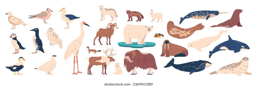 Set Arctic Animals And Birds Including Polar Bear, Musk Ox, Seal, Walrus, Wolf, Polar Fox, Reindeer, Penguin And Ermine