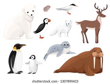 Set Of Arctic Animals Icon. Birds And Mammals. Arctic Animal, Cartoon Flat Design. Vector Illustration Isolated On White Background.