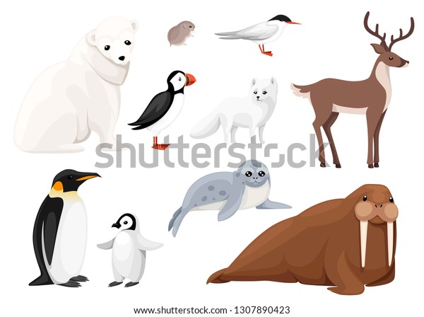 Set Arctic Animals Icon Birds Mammals Stock Vector (Royalty Free ...