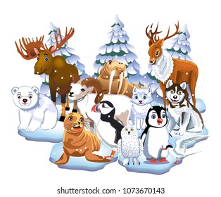 set of arctic animals like seal, walrus, moose, reindeer, penguin, polar bear, fox isolated on a white background