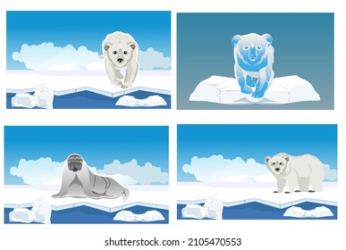 Set of arctic animals on the ice, polar bear and walrus vector illustration