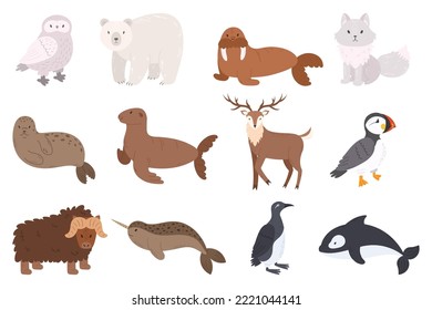Set of Arctic Animals Owl, Polar Bear, Walrus, Arctic Fox and Seal or Sea Lion. Reindeer, Atlantic Puffin or Sea Parrot and Penguin Birds, Buffalo, Narwhal, Killer Whale Cartoon Vector Illustration