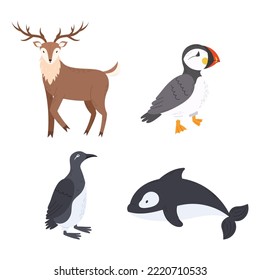 Set Of Arctic Animals Reindeer, Atlantic Puffin Or Sea Parrot And Penguin Birds With Killer Whale Wildlife Creatures, North Pole Animals Isolated On White Background. Cartoon Vector Illustration svg