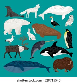 Set of Arctic animals waterfowl, birds and living on  the ground