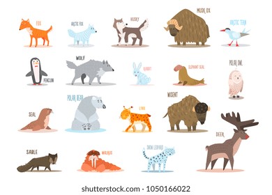 Set of Arctic and Antarctic animals. Fox, wolf, rabbit, penguin, sable, walrus, bear, husky, musk ox, tern, elephant seal, owl, deer, lynx, snow leopard. Flat vector design