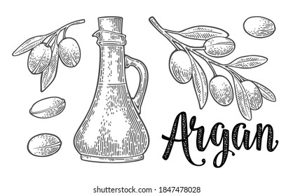 Set of argan branches, leaves, nuts, bottle with oil. Vector black vintage engraving illustration isolated on white background
