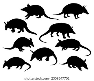 Set of Armadillo Silhouette, Animals