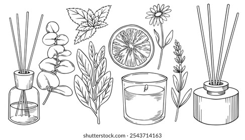 conjunto de difusores de aroma com varetas e velas. ilustração vetorial em estilo de esboço.