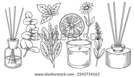 set of aroma diffusers with sticks and candles. vector illustration in sketch style.