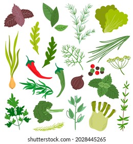 A set of aromatic herbs. Flat style. Basil, onion, mint, rosemary, sage, dill, parsley, etc.