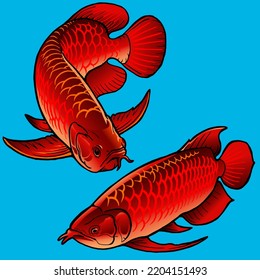 Set of Arowana fish for premium pack