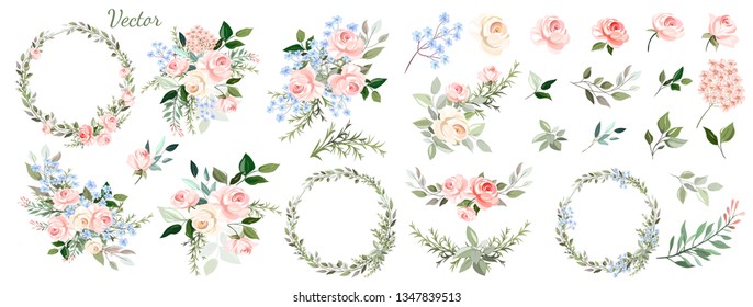 Set. Arrangement of pink roses, decorative leaves . Collection: roses, blue flowers, leaves, twigs,herbs, flower arrangements, wreath. Vector design.