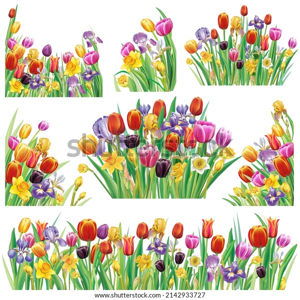 Set Arrangements Multicolor Spring Flowers Stock Vector (Royalty Free ...